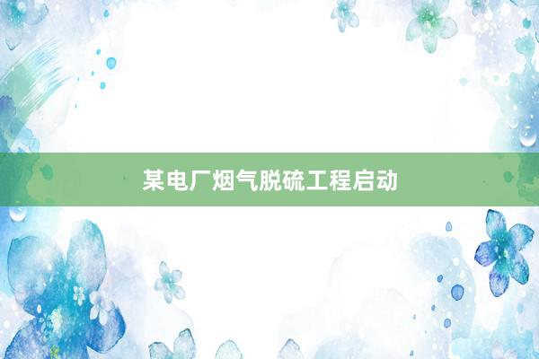 某电厂烟气脱硫工程启动